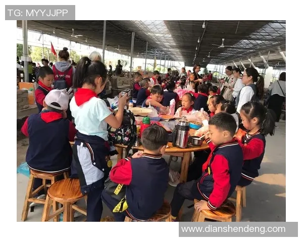 探索ZmjjKK极限操作的奥秘与应用潜力分析