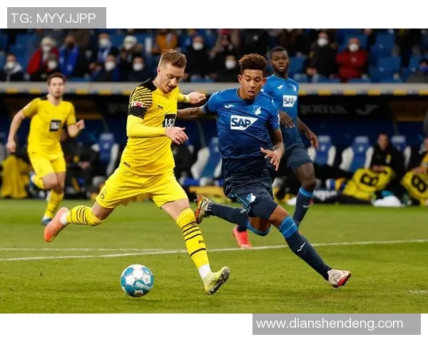 霍芬海姆主场喜迎胜利，终结德甲连败之苦